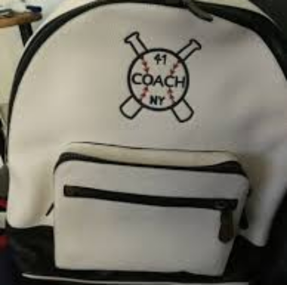 COPY - Coach backpack - Picture 3 of 5